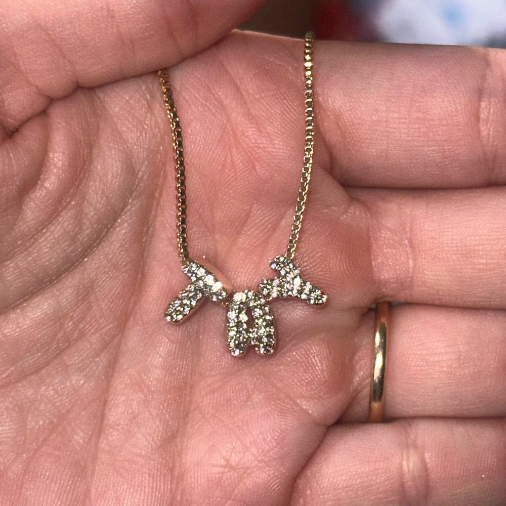Bauble bar custom Taylor necklace